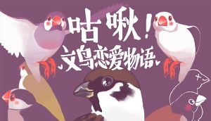 咕啾！文鸟恋爱物语 Love Story of Sparrow for Mac v3.00.00 Hotfix 中文原生版-光年游戏